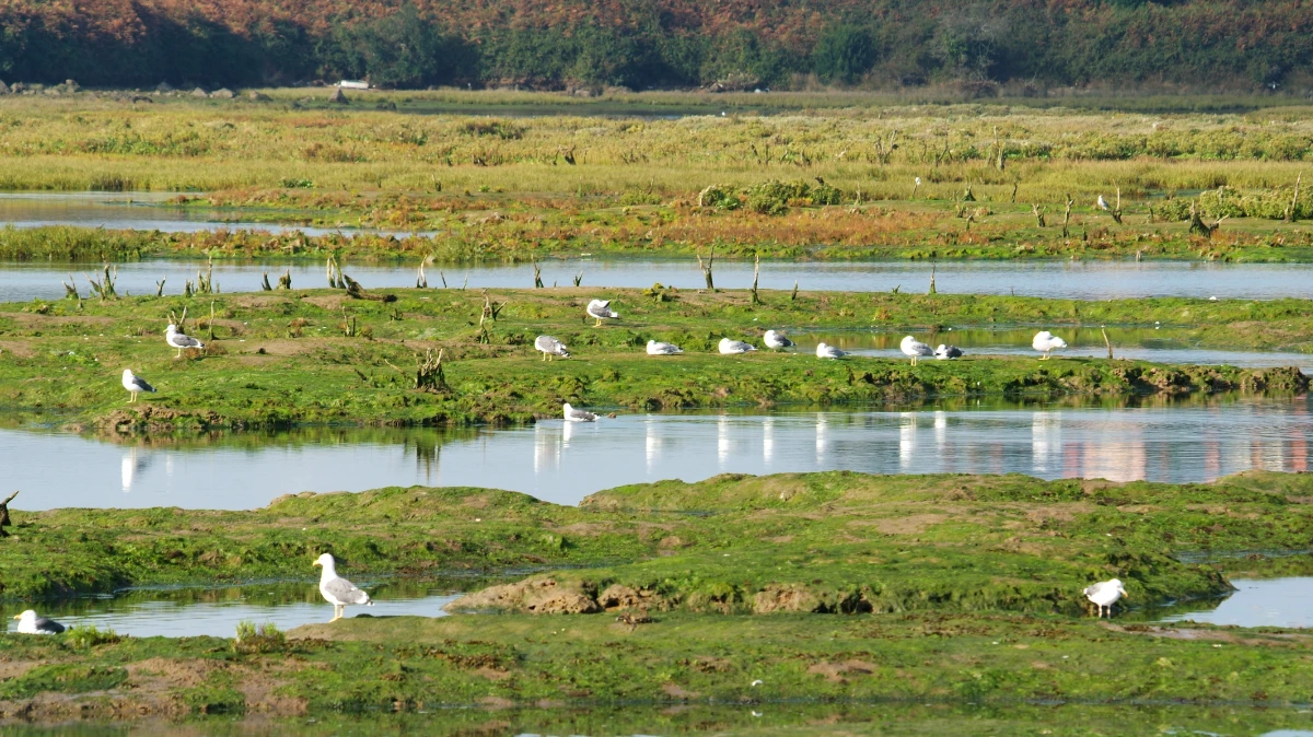 Excursiones Agroturismo Casa Faro Ajo